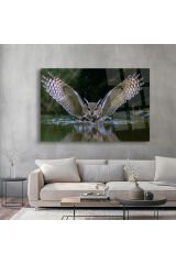 HARİKA BAYKUŞ GÖRSELİ DOĞA TABLOSU KIRILMAZ CAM TABLO LÜKS MODERN TABLO EV HEDİYESİ