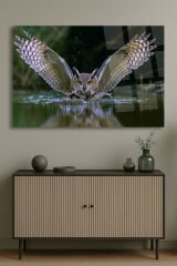 HARİKA BAYKUŞ GÖRSELİ DOĞA TABLOSU KIRILMAZ CAM TABLO LÜKS MODERN TABLO EV HEDİYESİ