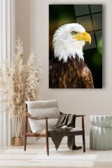 Kartal Dikey Cam Tablo, Modern Ev Ofis Salon Duvar Dekoru, Hediyelik Tablo Dekor