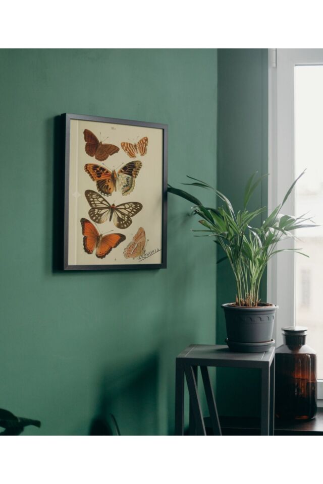 Çok Renkli - Kurutulmuş Kelebek Görünümlü Pinterest Poster Çerçeveli Yüksek Kaliteli Dekorasyon Tasarım Tablo