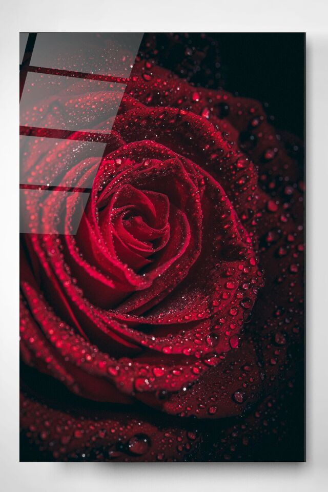 Rose Cam Tablo, Dekoratif Cam Tablo