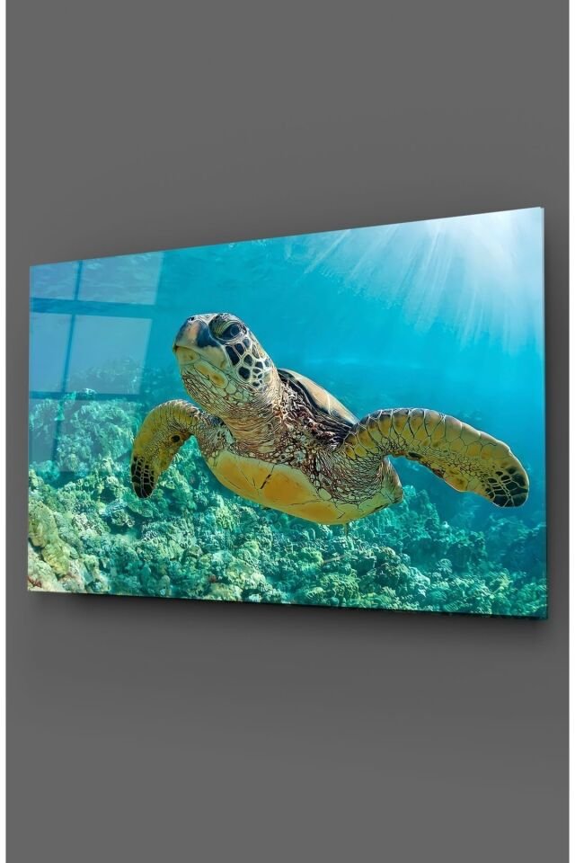 Caretta Caretta Cam Tablo Renkli