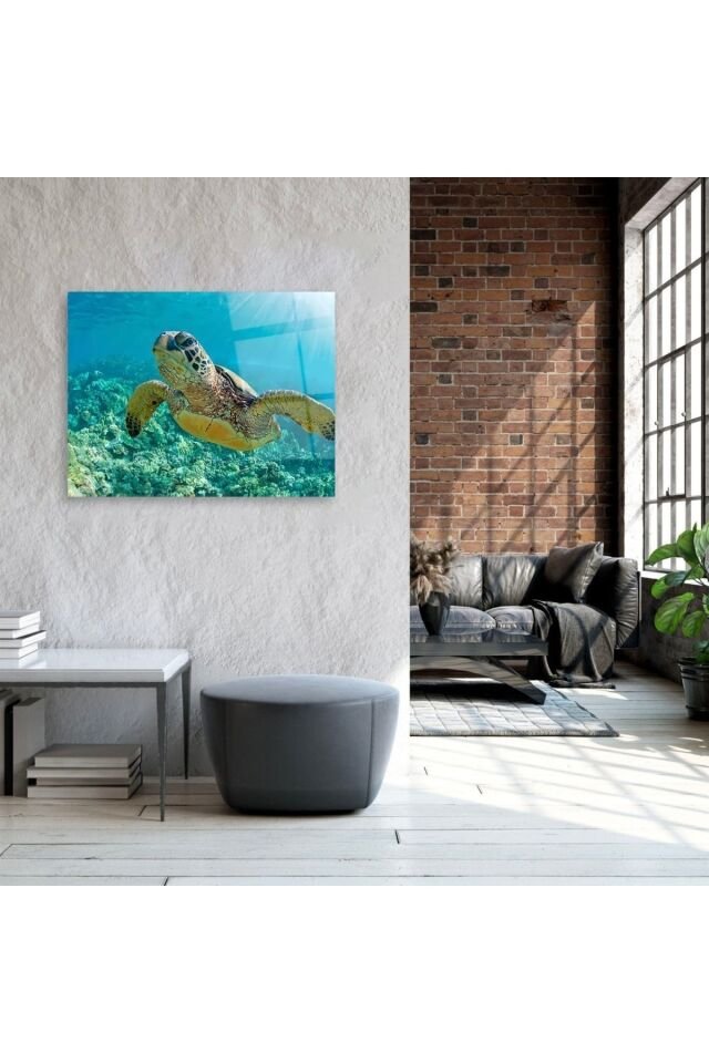 Caretta Caretta Cam Tablo Renkli