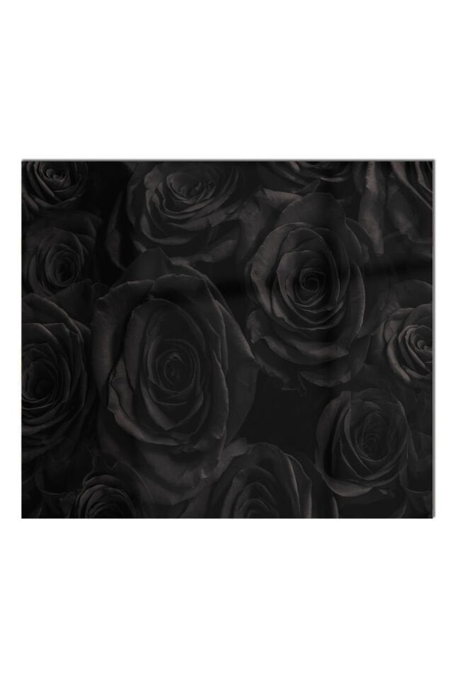 Siyah - Cam Ocak Arkası Koruyucu Tezgah Ankastre Arkası Koruyucu 76x49,5 cm | Siyah Güller