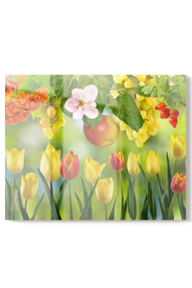 Premium Mutfak Cam Ocak Arkası Koruyucu Tezgah Ankastre Arkası Koruyucu 50x76cm | Meyve