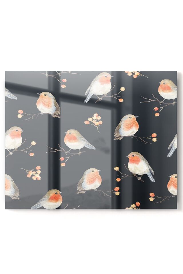 Siyah - Premium Mutfak Cam Ocak Arkası Koruyucu Tezgah Ankastre Arkası Koruyucu | Kuşlar Siyah Turuncu