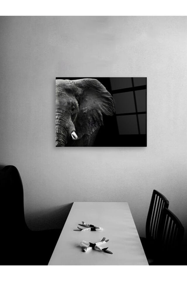 Fil Yatay Cam Tablo Renkli