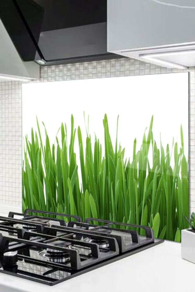 50x50 Cm Cam Ocak Arkası Koruyucu Tezgah Ankastre Arkası Koruyucu | Çim